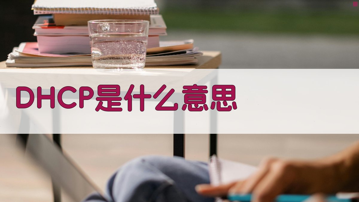 DHCP是什么意思