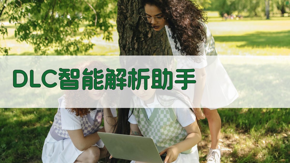 DLC智能解析助手