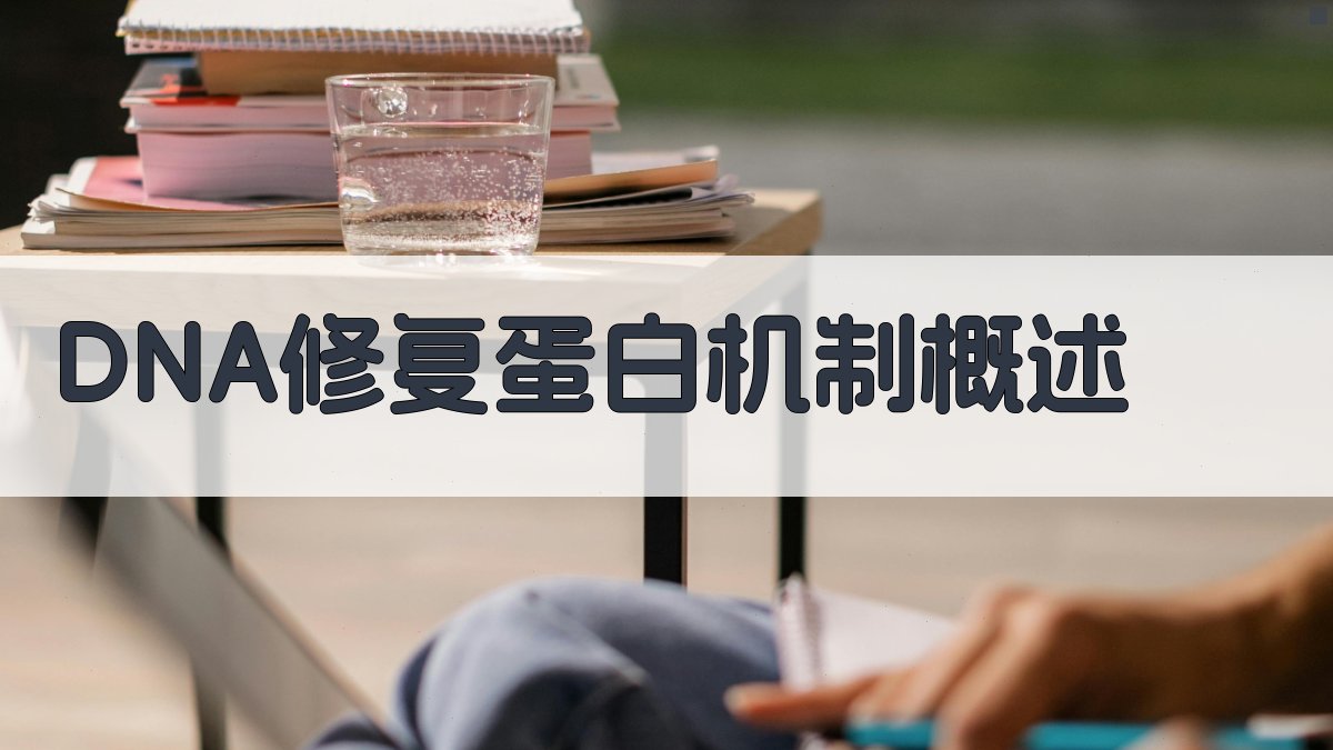 AI一键生成DNA修复蛋白机制概述