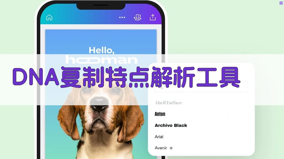 AI DNA复制特点解析