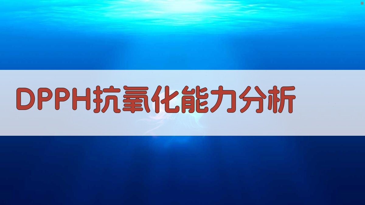 AI DPPH实验分析