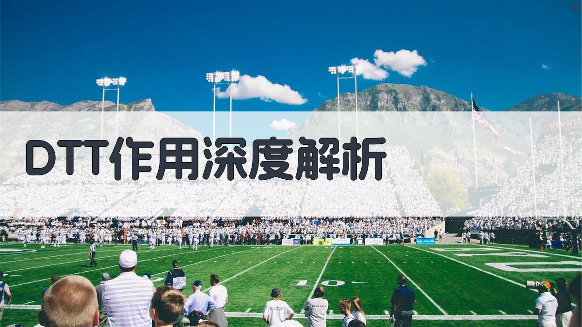 DTT作用深度解析