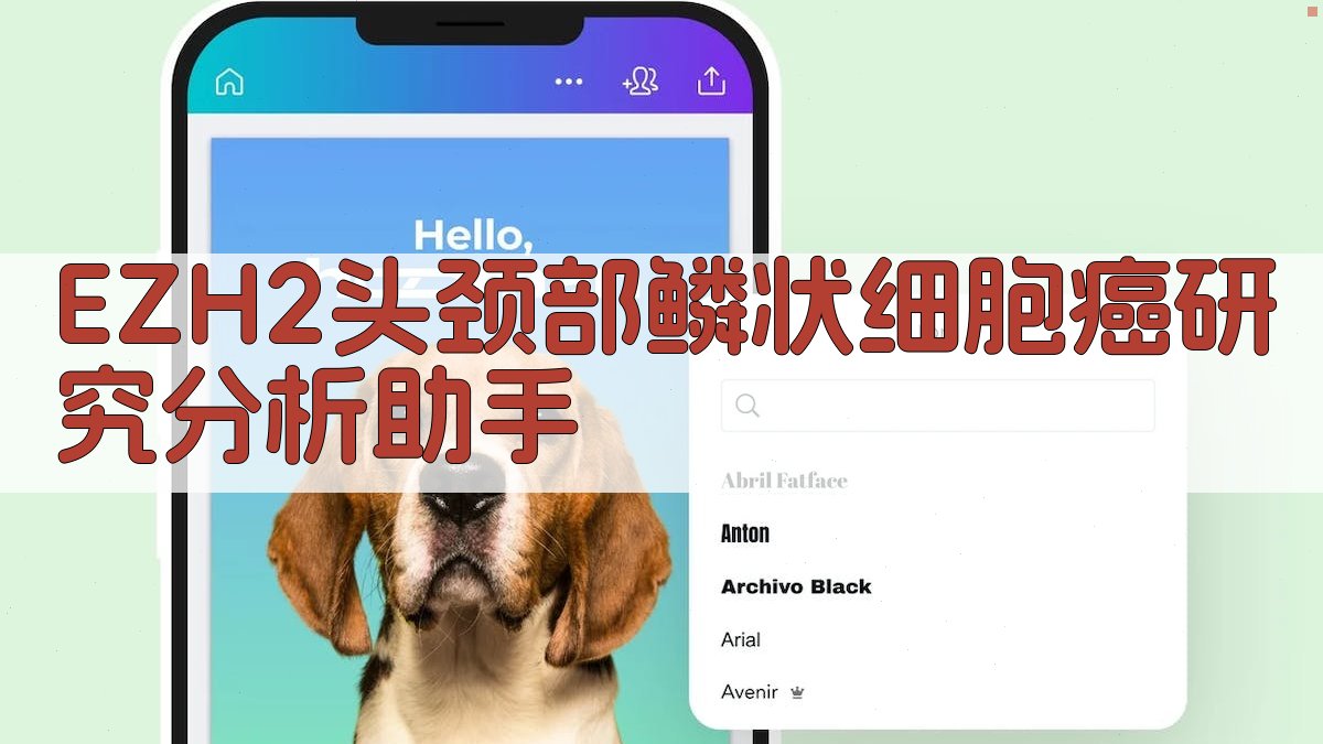 EZH2头颈部鳞状细胞癌研究分析助手