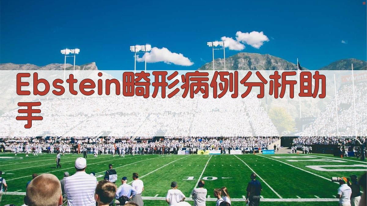 Ebstein畸形病例分析