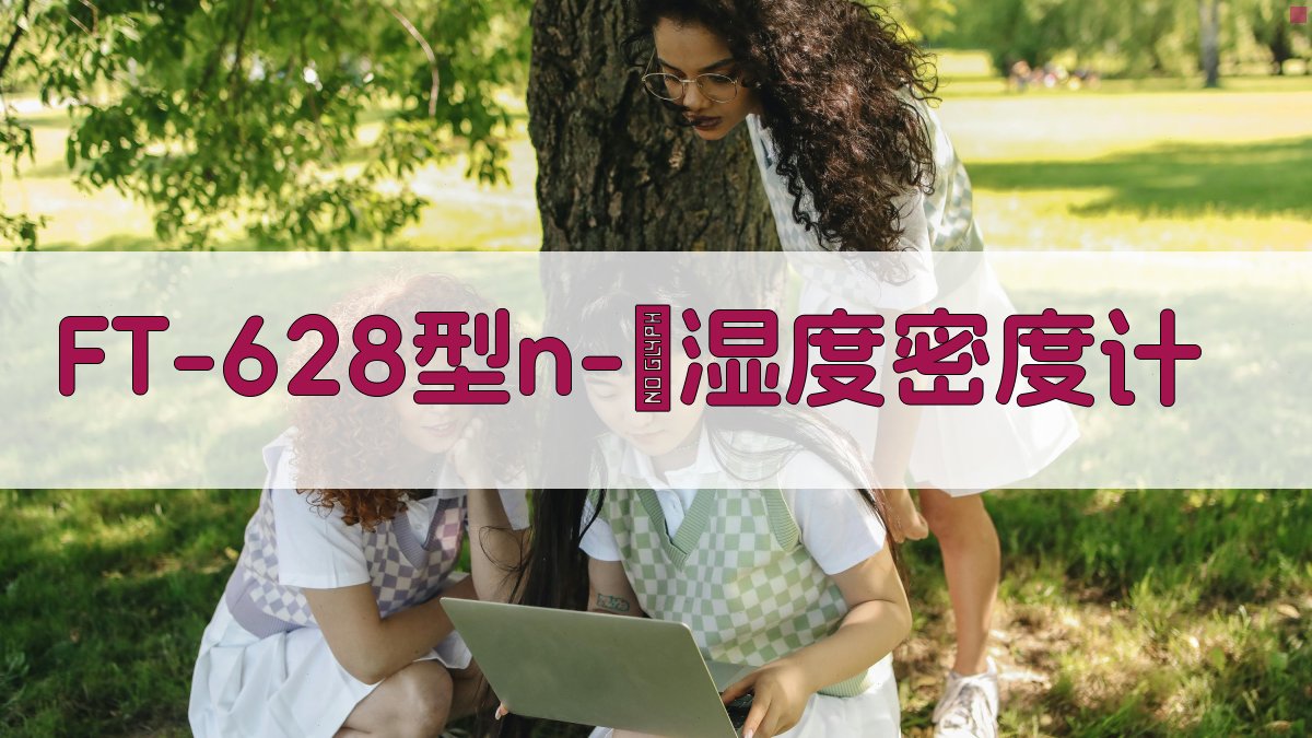 FT-628型n-γ湿度密度计