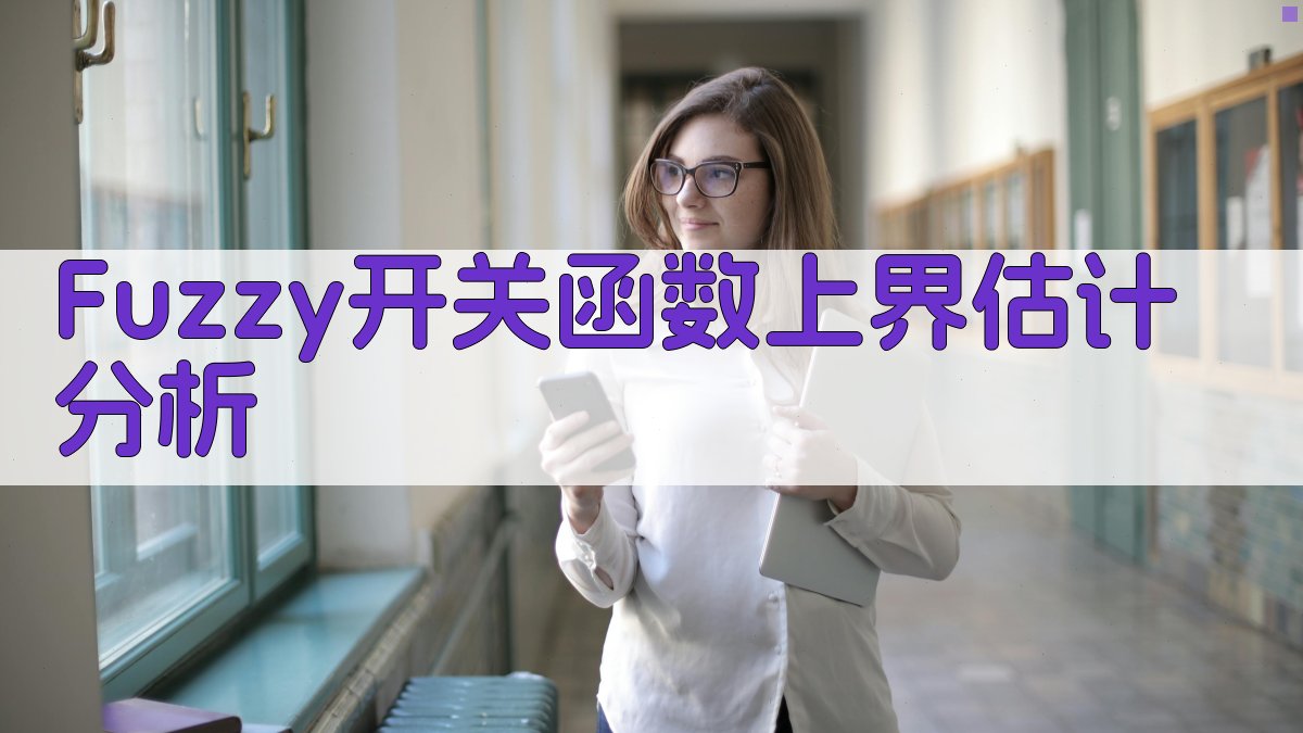 Fuzzy开关函数上界估计分析