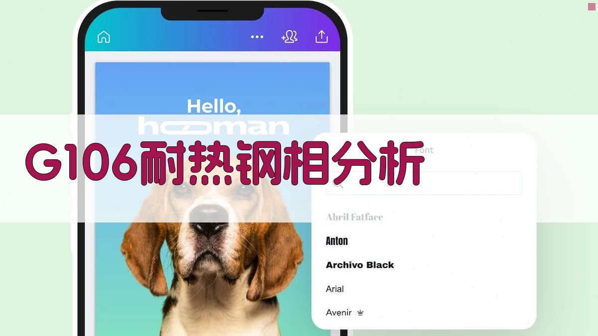 G106耐热钢相分析