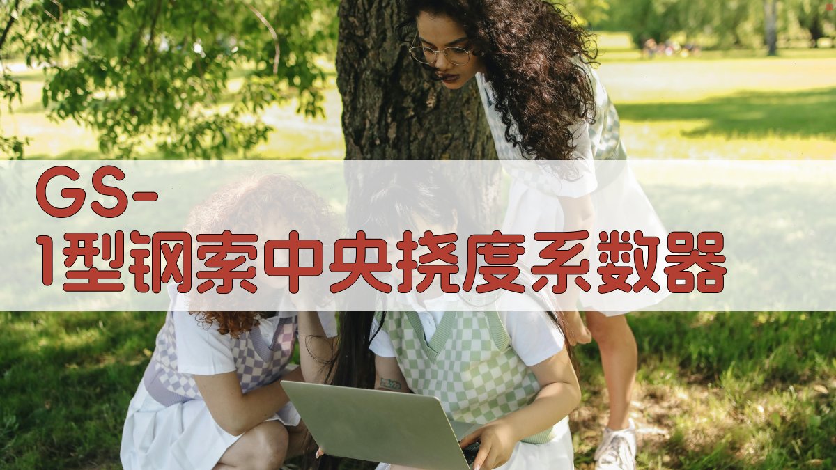 GS-1型钢索中央挠度系数器