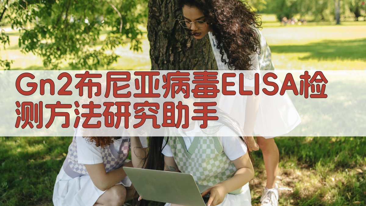 Gn2布尼亚病毒ELISA检测方法研究助手