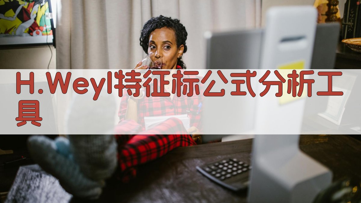 H.Weyl特征标公式分析工具