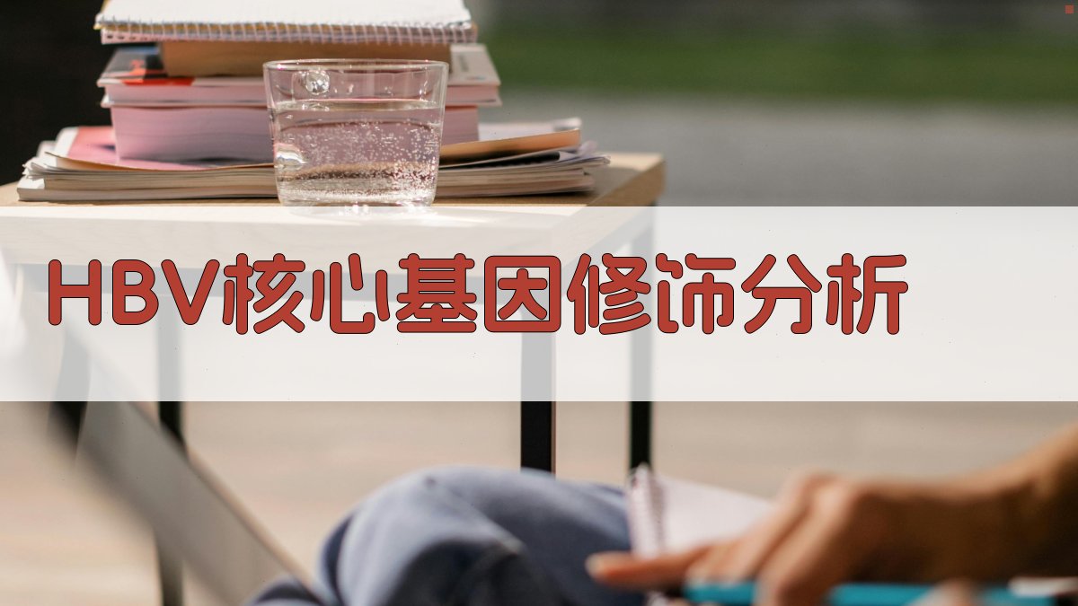 HBV核心基因修饰分析