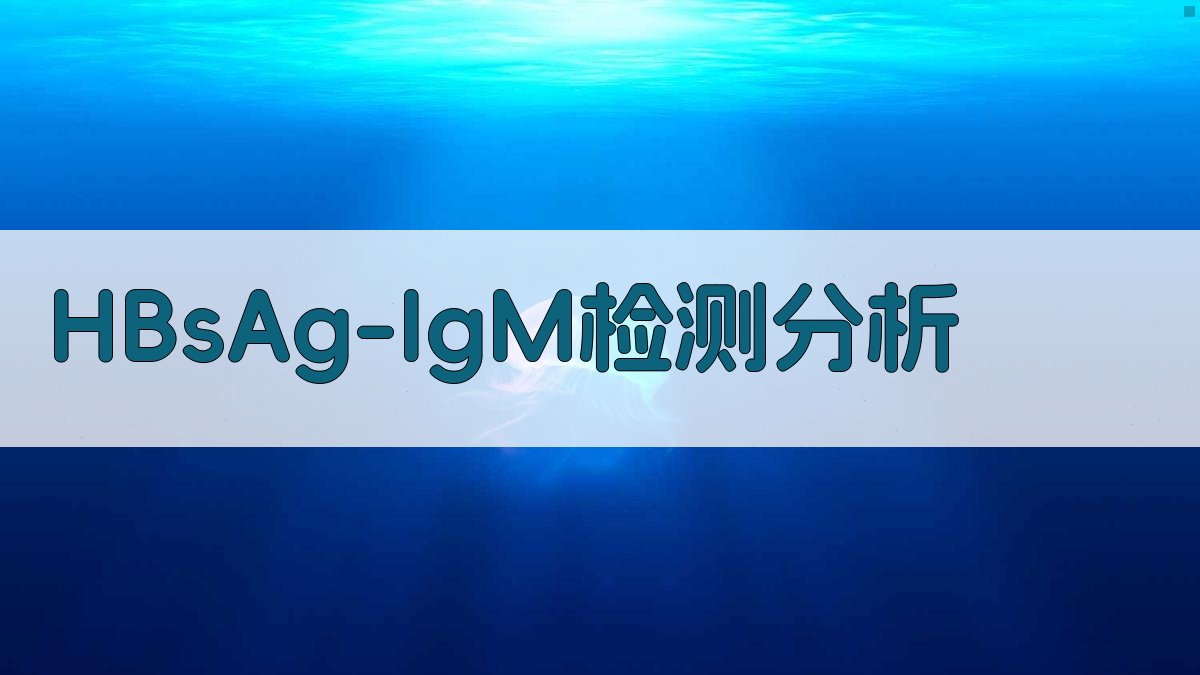 HBsAg/IgM复合物检测分析工具