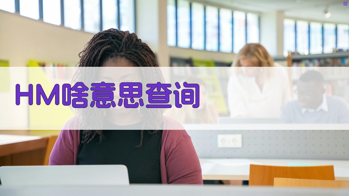 HM啥意思查询