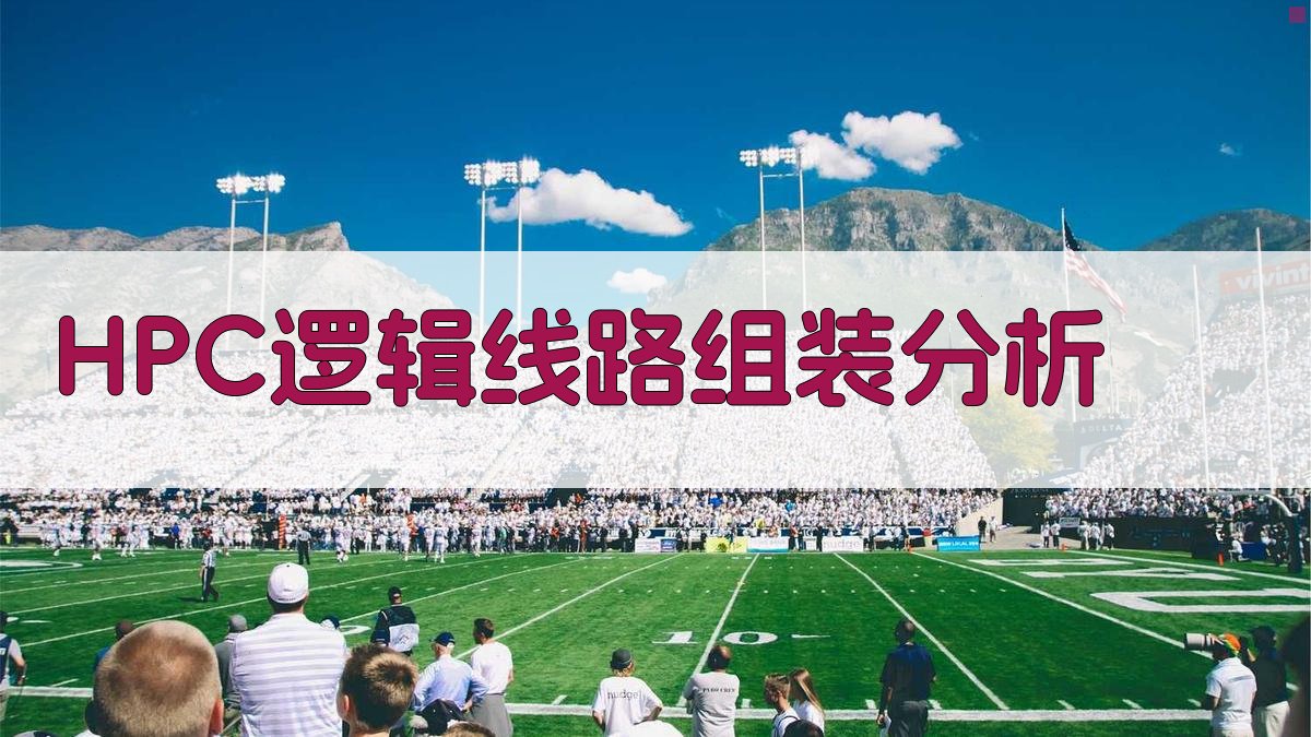 HPC逻辑线路组装分析