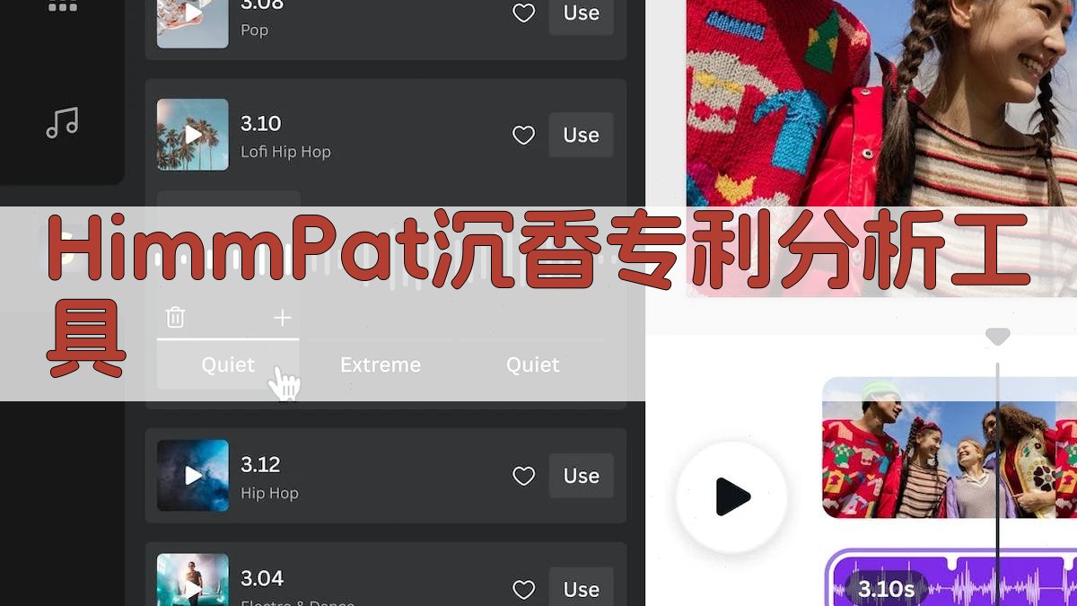 基于HimmPat的沉香专利分析助手