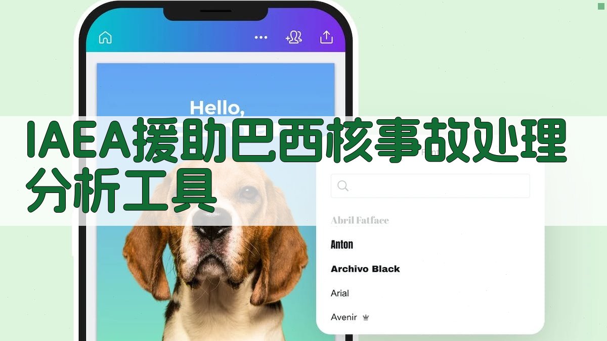 IAEA援助巴西核事故处理分析工具