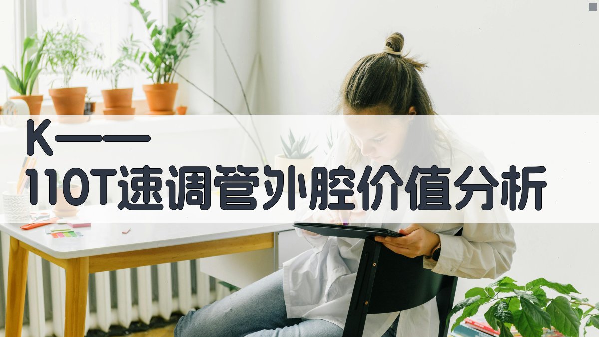 K——110T速调管外腔价值分析