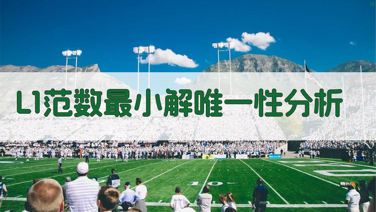 L-1范数最小解唯一性问题分析