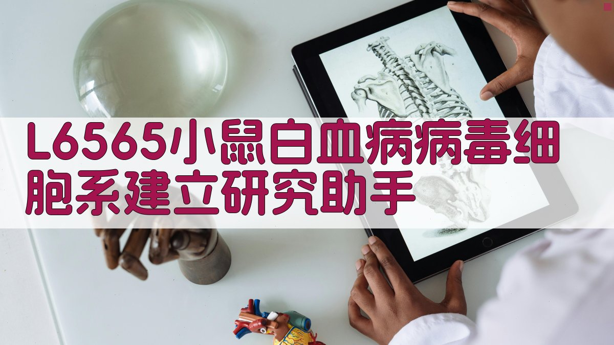 L6565小鼠白血病病毒细胞系建立研究助手