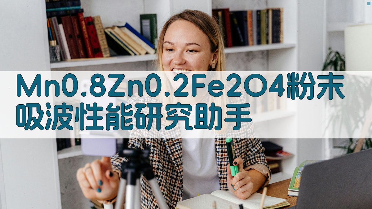 Mn0.8Zn0.2Fe2O4粉末吸波性能研究助手