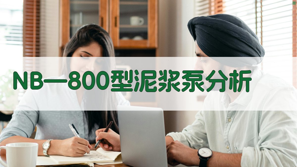 NB—800型泥浆泵分析