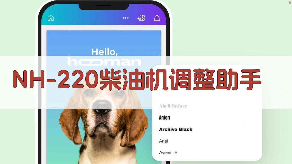 NH-220柴油机调整工具