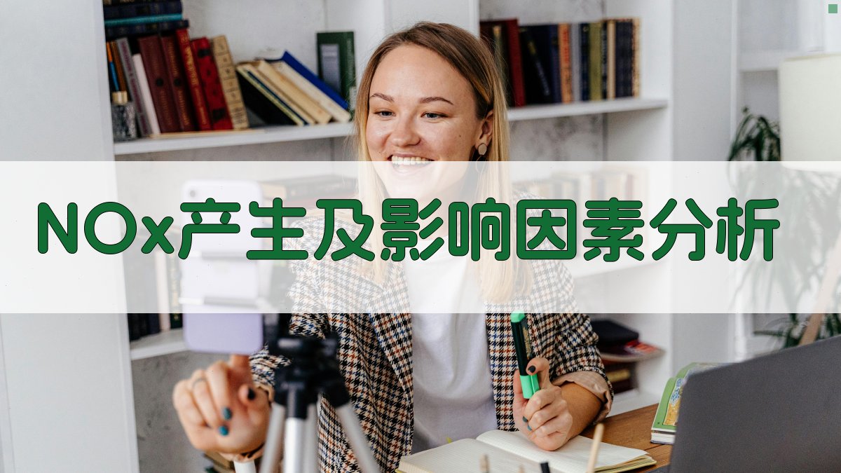 NOx产生及影响因素分析