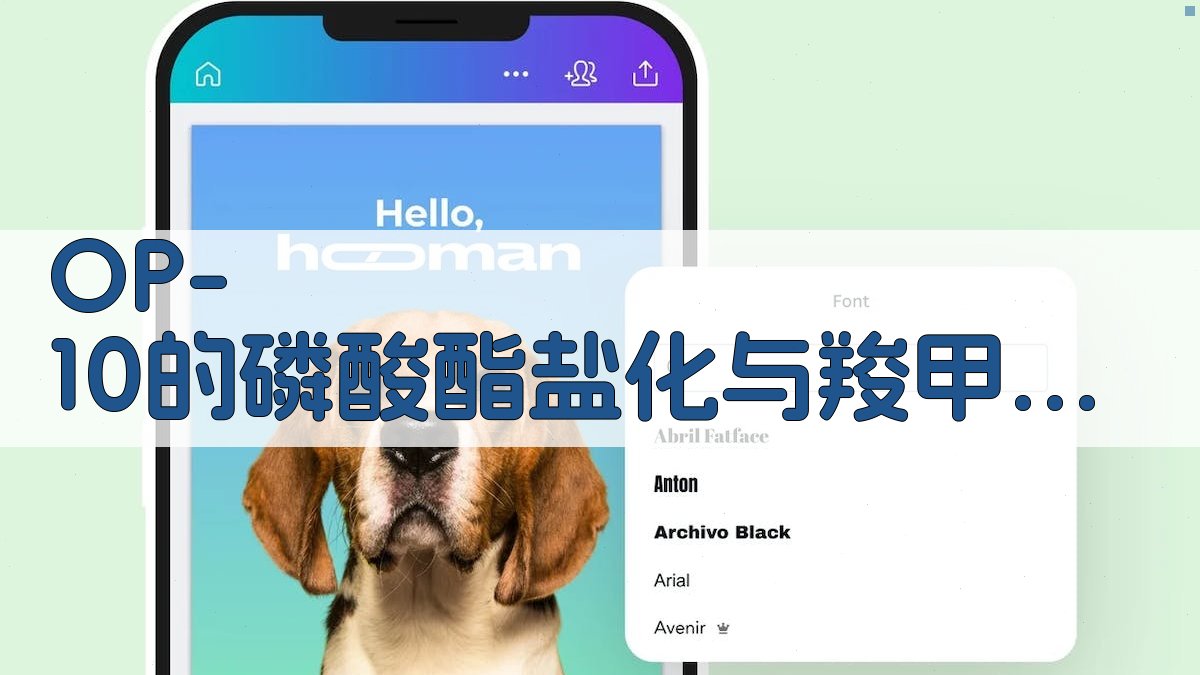 OP-10磷酸酯盐化与羧甲基化助手