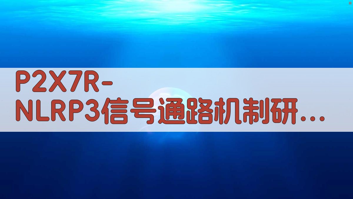 P2X7R/NLRP3信号通路机制研究助手
