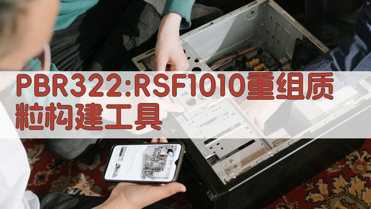 PBR322:RSF1010重组质粒构建工具