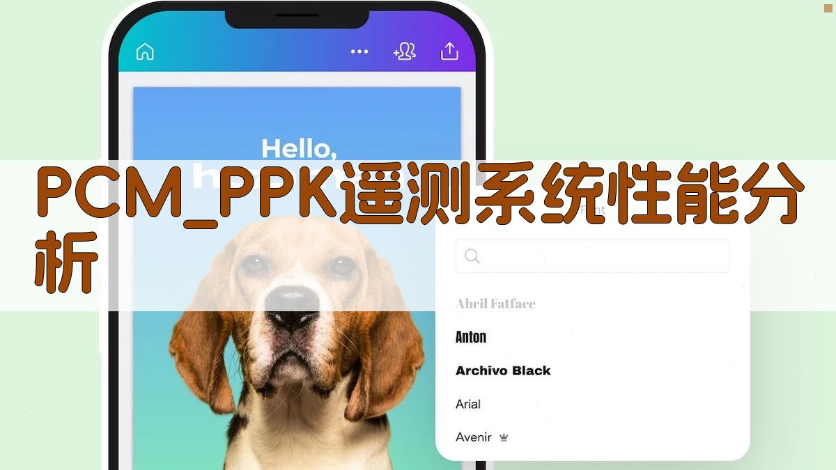PCM/PPK遥测系统性能分析