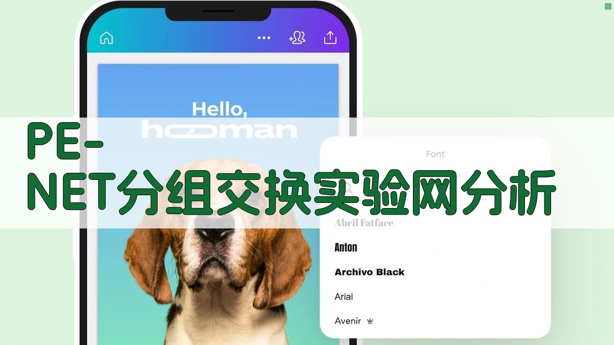 PE-NET分组交换实验网分析