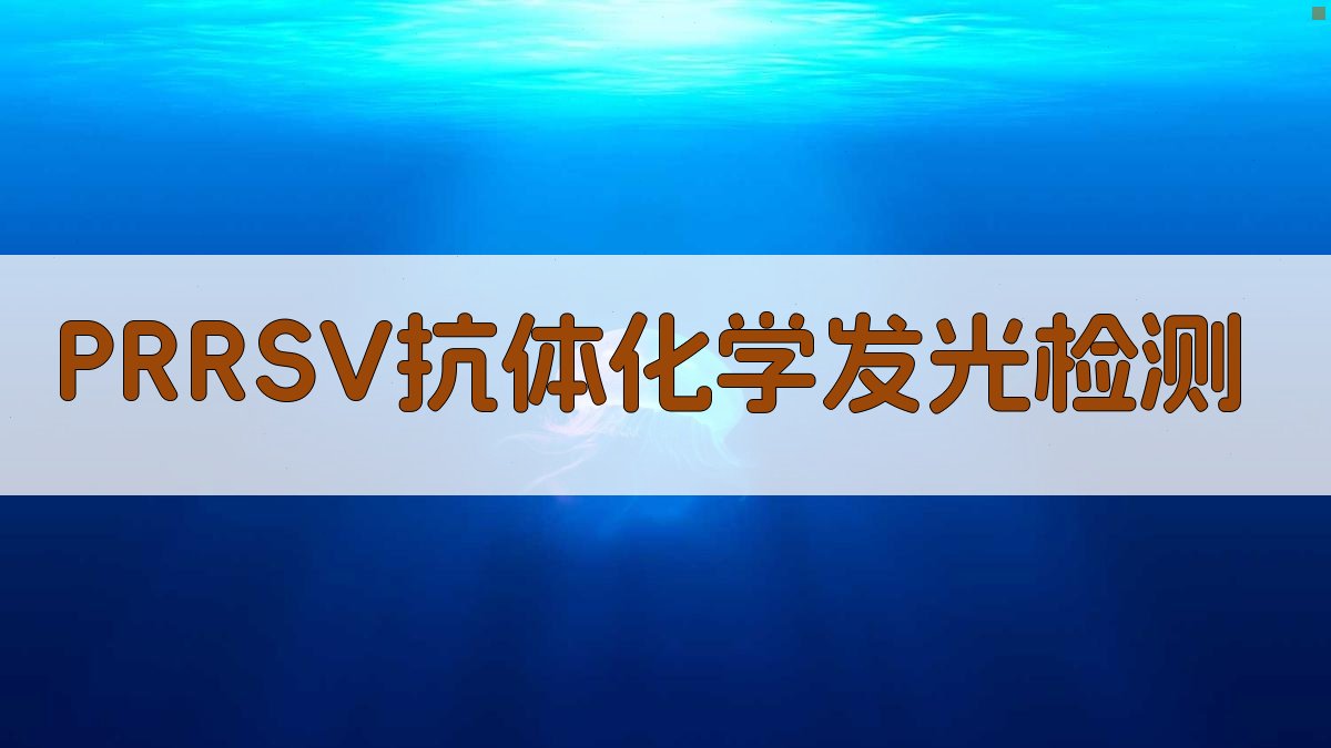 PRRSV抗体化学发光检测方法建立