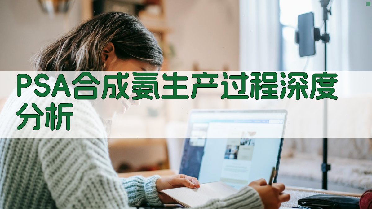 PSA合成氨生产过程深度分析