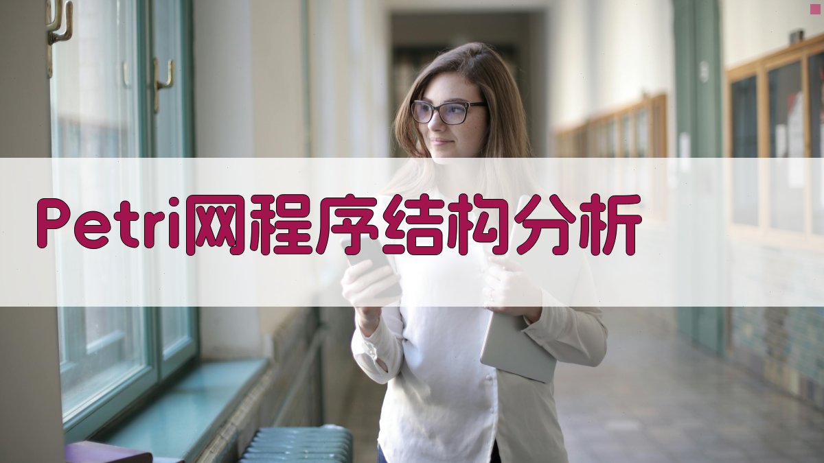 Petri网函数式程序结构设计分析