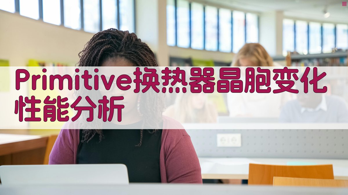 Primitive换热器晶胞变化性能分析