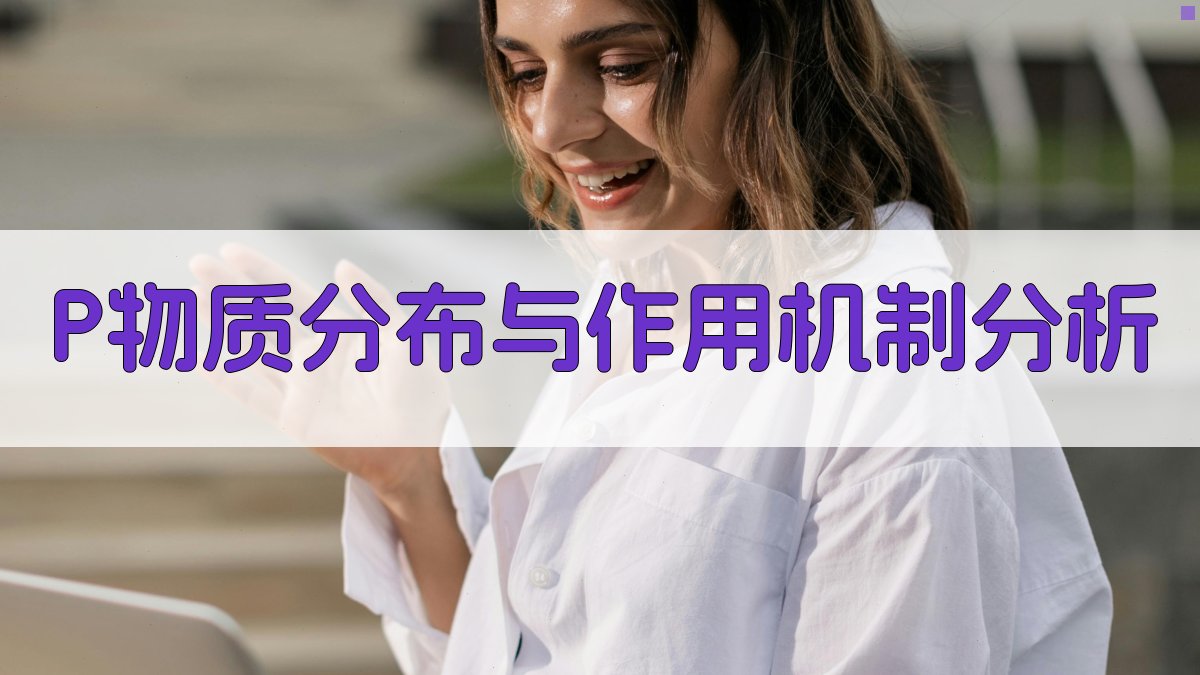 P物质分布与作用机制分析