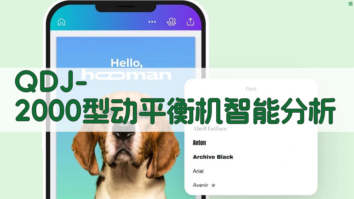 QDJ-2000型动平衡机智能分析