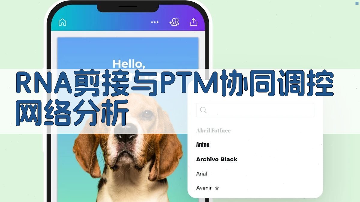 RNA剪接与PTM协同调控网络分析