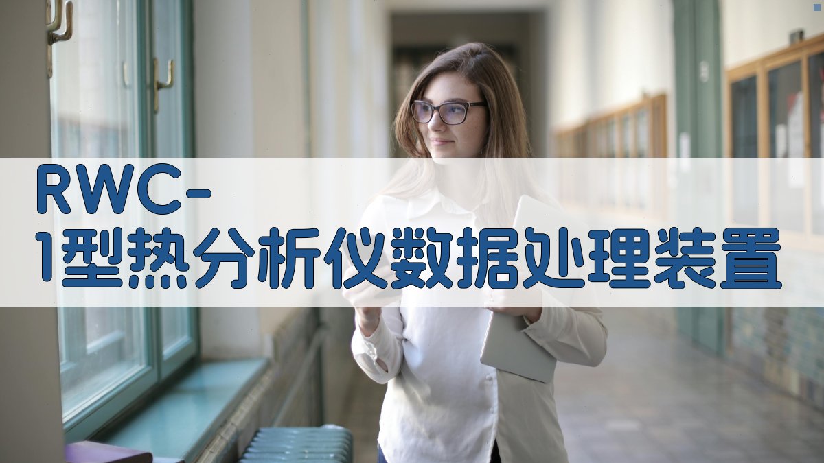 RWC-1型热分析仪数据处理装置