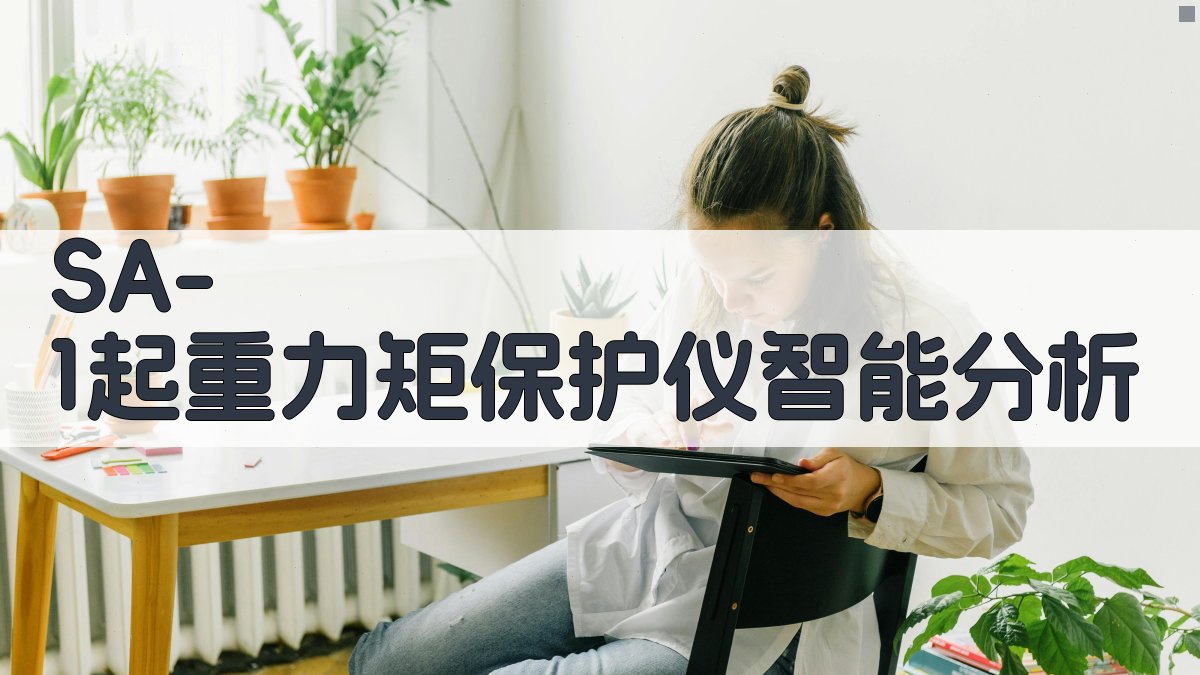 SA-1起重力矩保护仪智能分析