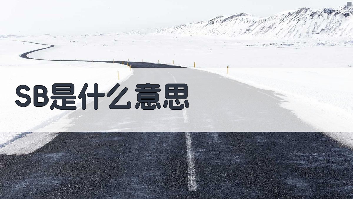 SB是什么意思