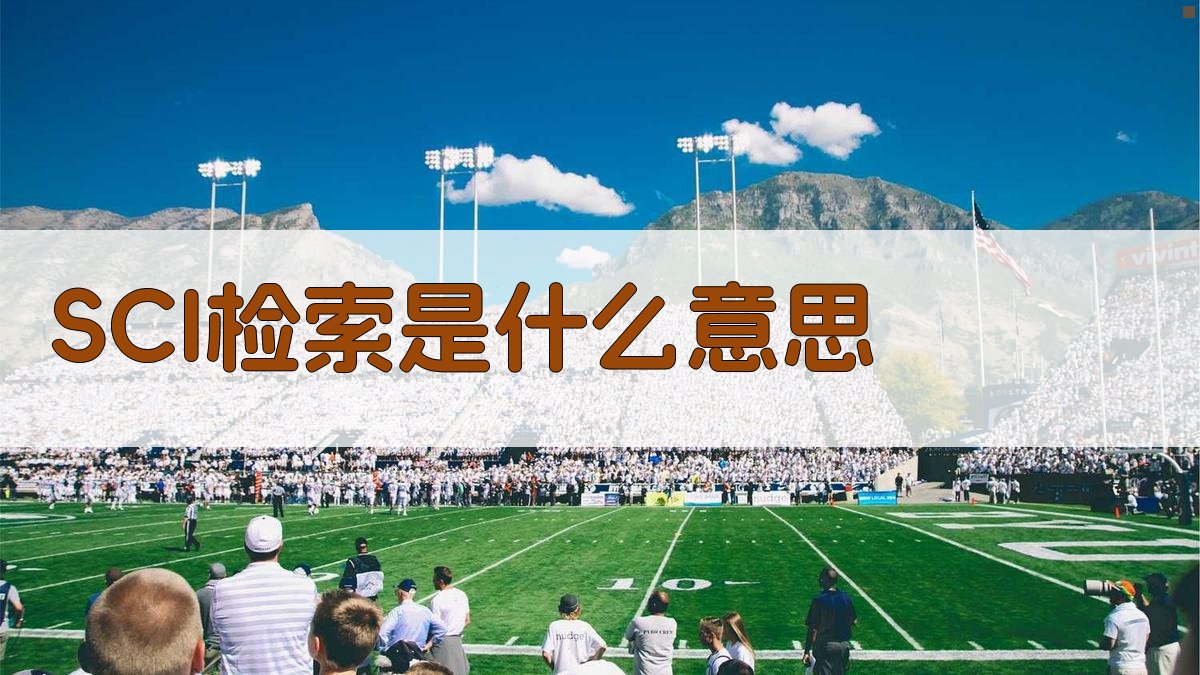 AI智能解释SCI检索