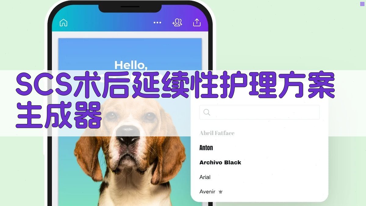 SCS术后延续性护理