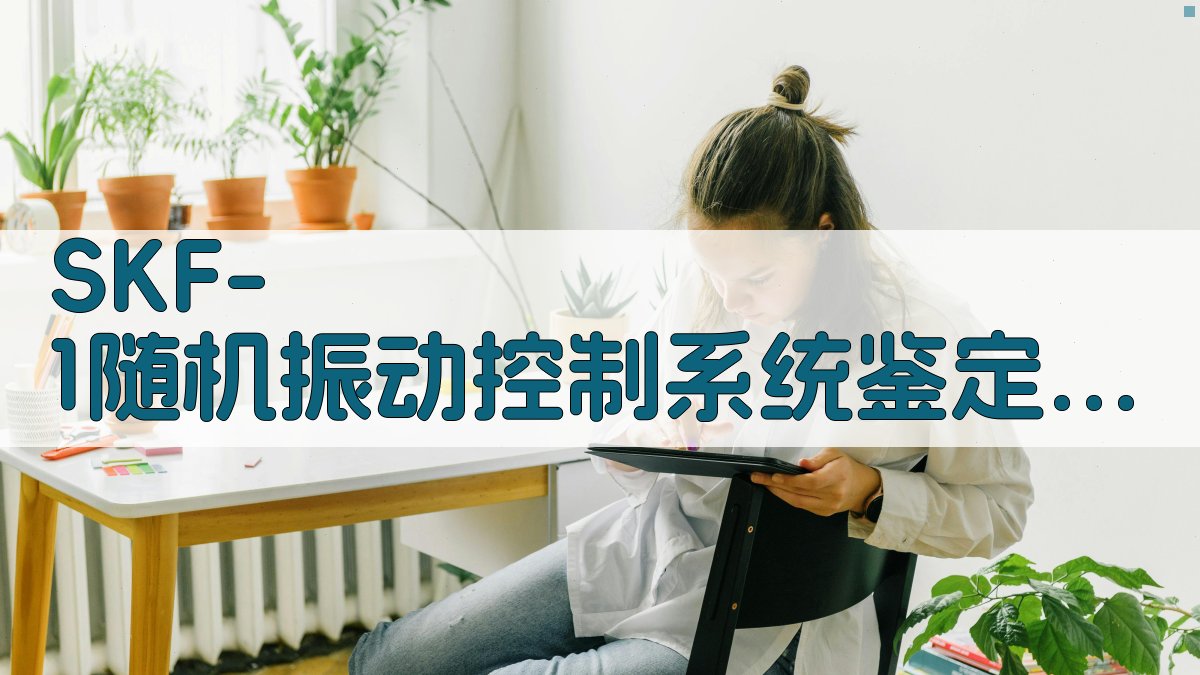 SKF-1随机振动控制系统鉴定分析