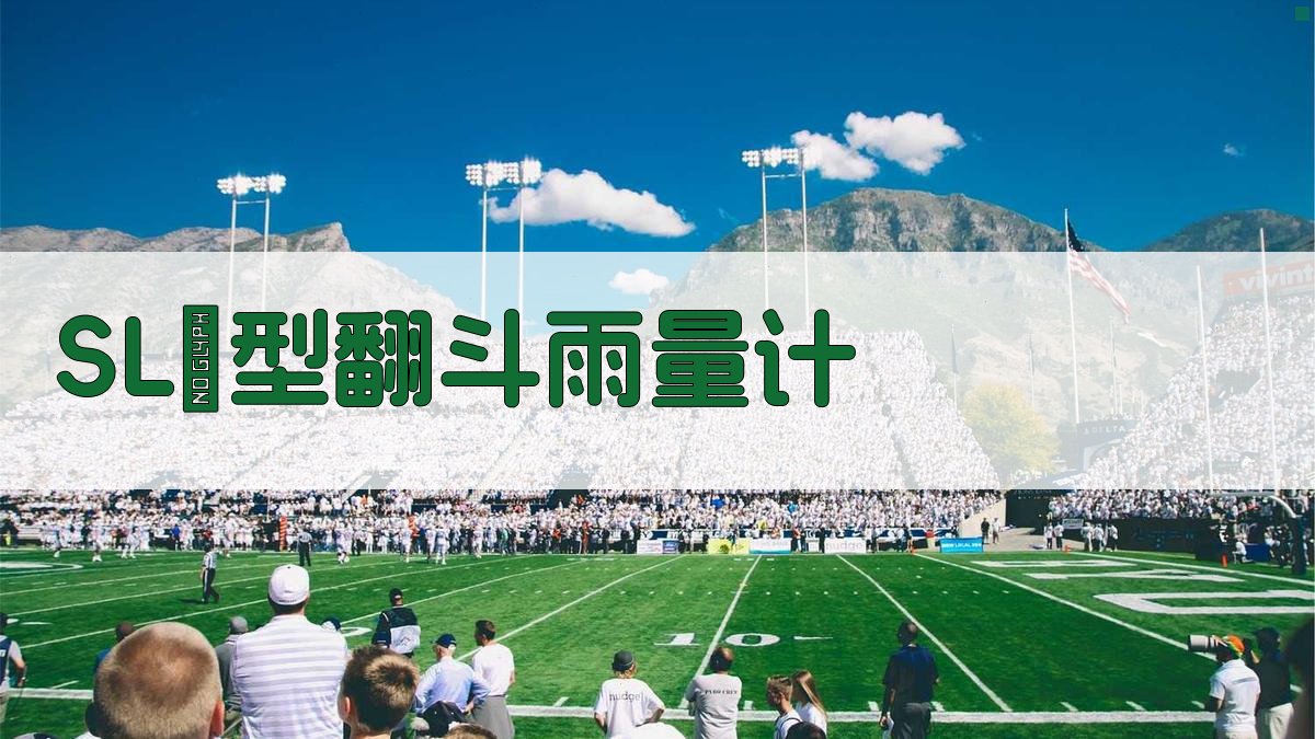 SL₁型翻斗雨量计