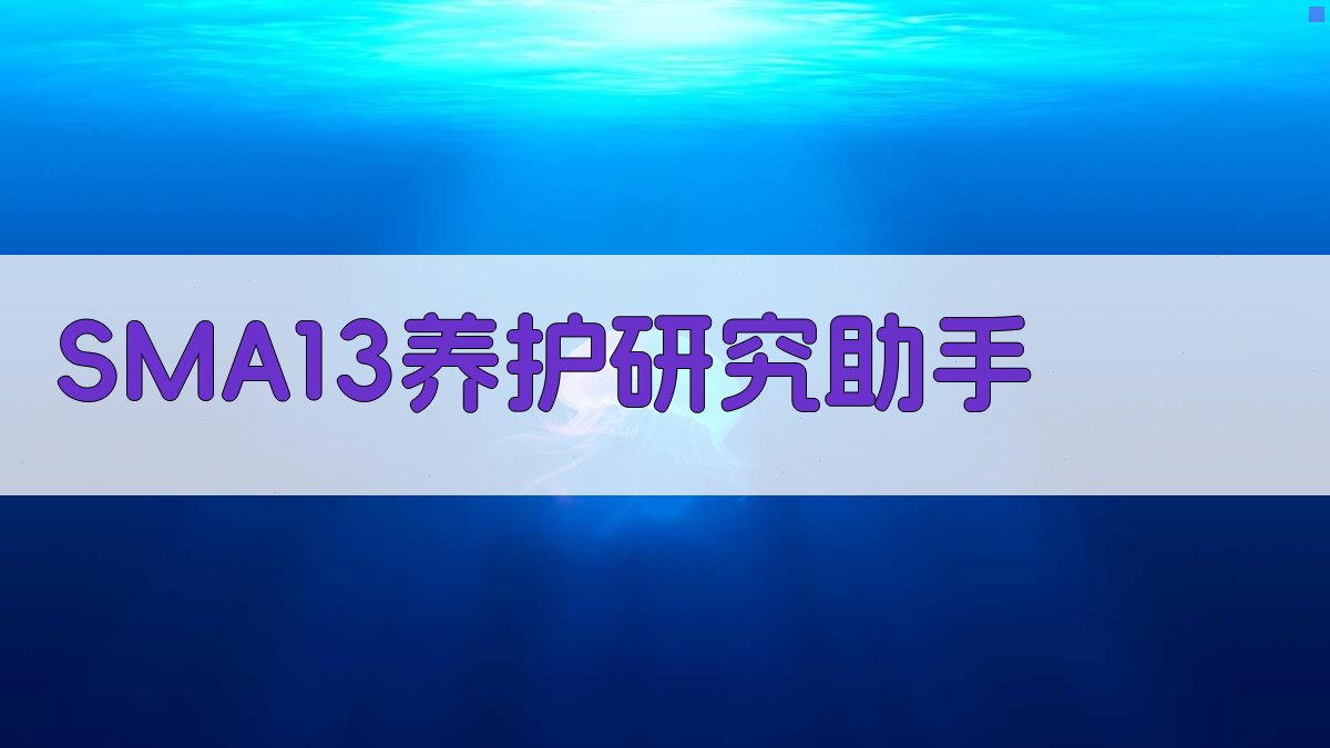 SMA-13养护研究助手