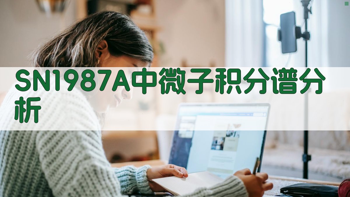 SN1987A中微子积分谱分析