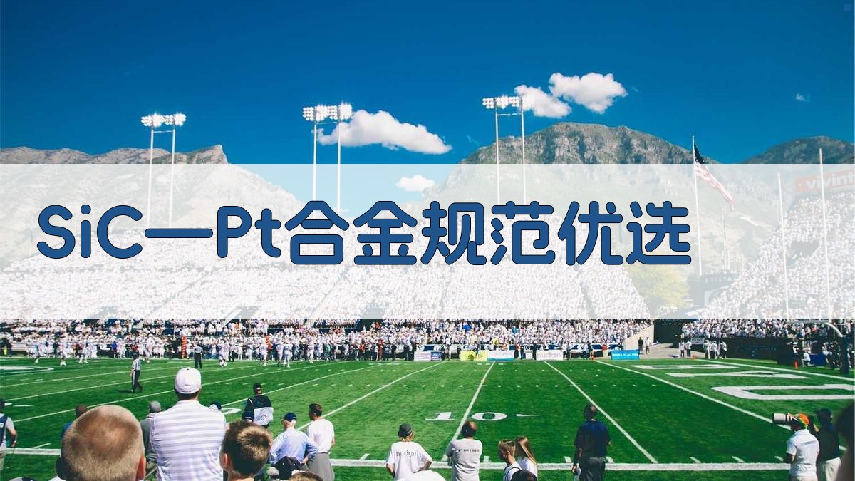 SiC-Pt合金规范优选