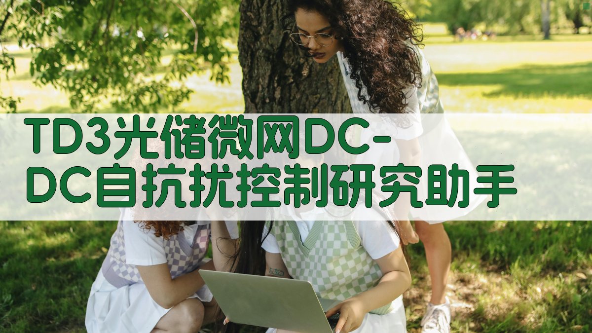 TD3光储微网DC-DC自抗扰控制研究助手